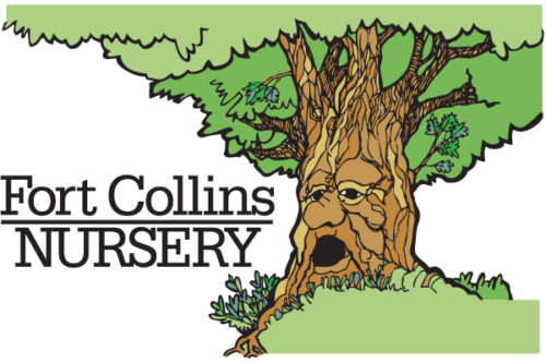 Fort-Collins-Nursery-Tree
